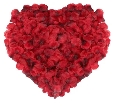Productafbeelding van Rosenbloemen - 2000 stuks - Decoratie voor feesten en evenementen - Rood
