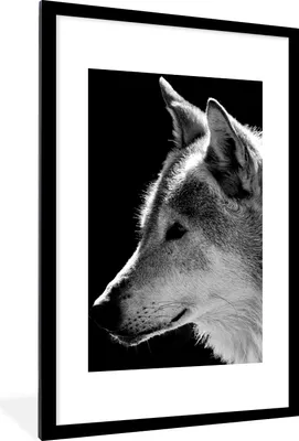 Produktbild von MuchoWow® Gerahmtes Poster Wildlife - Wolf - Schwarz - Weiß 60x90 cm - Poster mit Schwarzem Bilderrahmen Wandposter Rahmen Foto Bilder - Dekoration - Wandposter Wohnzimmer - Hochwertig