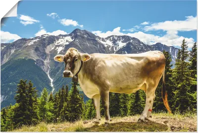 Produktbild von ARTland Poster Bergkuh in den Alpen im Sommer Größe: 90x60 cm