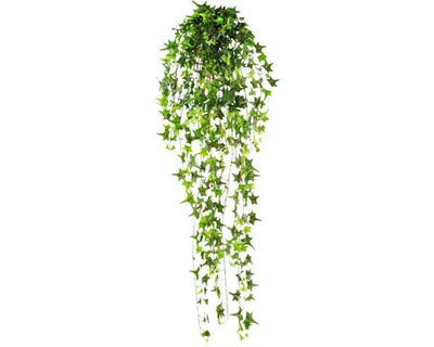 Produktbild von Kunstpflanze Pitsburgh Efeuranke Höhe: 115 cm grün