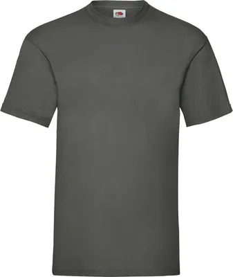 Produktbild von Herren-T-Shirt, Kurzarm - FOL VALUEWEIGHT T - l.graphite - Größe 3XL