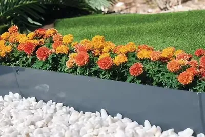 Image de Bordure de jardin acier galvanisé anthracite 1,06 m - hauteur 18 cm - 5 piquets intégrés
