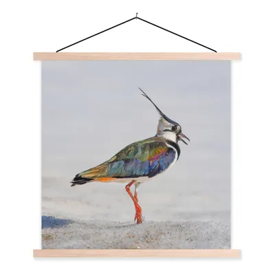 Produktbild von MuchoWow® Textilposter Vogel - Tiere - Sand - Kiebitz 120x120 cm mit holzfarbenen Rahmen - Textil-Poster