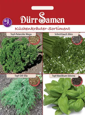 Produktbild von Dürr-Samen - Küchenkräutersortiment für Balkon und Terrasse - Saatgut - 4308