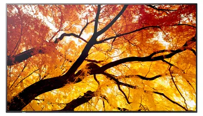 Produktbild von Sharp MultiSync M432, Digital Signage Flachbildschirm, 108 cm (42.5"), LCD, 3840 x 2160 Pixel