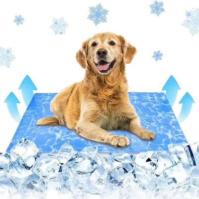 Produktbild von Famanu Kühlmatte für Hunde und Katzen - Selbstkühlend, Wasserfest und Reißfest - 90 x 50 cm Küldecke für Haustiere