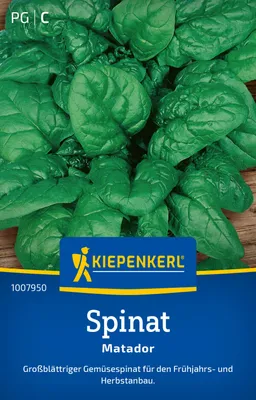 Produktbild von Kiepenkerl Spinatsamen Matador Spinacia oleracea 30 - 40 lfd. Meter