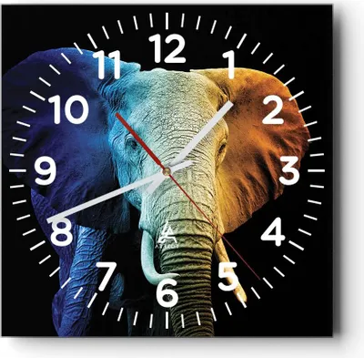 Produktbild von Wanduhr - Quadrat - Glasuhr - Bunt Elefant Fotografie - 40x40cm - Schleichendes Uhrwerk - Lautlos - zum Aufhängen bereit - Dekoration Modern - Wanddekoration aus Glas - C4AC40x40-4768