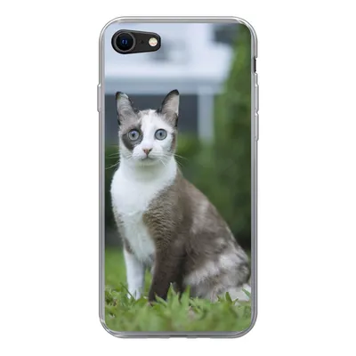 Produktbild von MuchoWow® Handyhülle Schutzhülle Hülle für iPhone 8 Katze - Siamese - Gras - Mädchen - Kinder - Jungen - Kind Silikon Softcase Handy Hülle - Schutzhaube