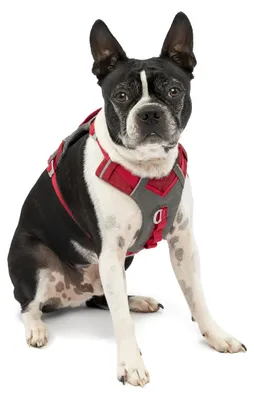 Produktbild von Kurgo Journey Air Geschirr, Farbe:rot, Größe:XS