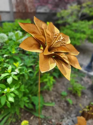 Immagine prodotto di Fiore Jeanette in acciaio inox, piccolo