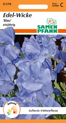 Artikelbild 1 von 'Edelwicke Blau' aus der Kategorie Wickensamen