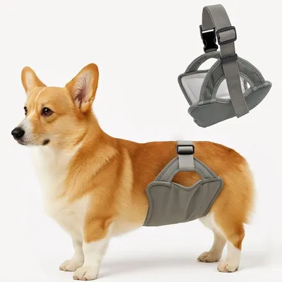 Image de INF Culotte menstruelle pour chien - Protection lavable et réutilisable pour chienne, polyester respirant et doublure coton, taille ajustable Gris M