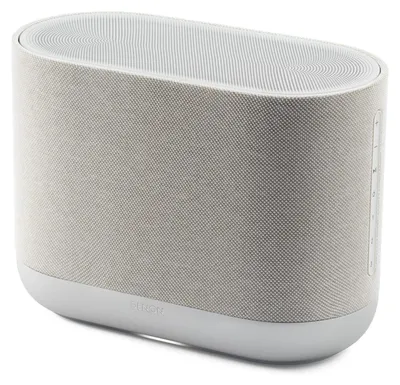Zdjęcie produktu dla Denon HOME 400, Pełny zasięg, Przewodowy i Bezprzewodowy, Szary