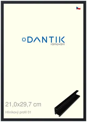 Obrázok produktu pre Rám DANTIK 21x29,7 | ALU profil 7001 čierny matný (sklo číre)