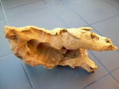 Produktbild von Wurzel aus Opuwaholz ca. 10 -20 cm, Opuwa