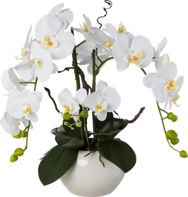 Produktbild von künstliche Orchidee REAL TOUCH H. 49cm weiß in weißem Keramiktopf GASPER