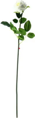Obrázok produktu pre Umelý kvet ruža krémová 56 cm | 6 kusov