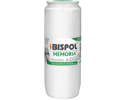 Obrázok produktu pre Vložka do olejovej sviečky BISPOL WO4 84H 1ks.