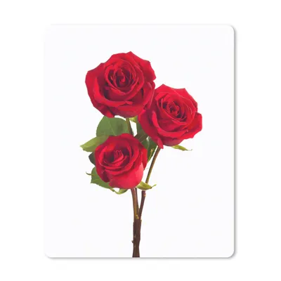 Produktbild von MuchoWow® Mauspad Mousepad Rosen - Blumen - Rot 19x23 cm - Mousepads - Maus Mat - Pad - Mausunterlage - Mauspads - Spielen