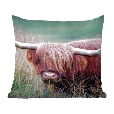 Produktbild von MuchoWow® Zierkissen Sofakissen Wohnzimmer Dekokissen 40x40 cm Schottisches Hochlandrind - Hörner - Gras - Foto Kissen - Schlafzimmer Dekoration