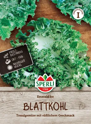 Produktbild von SPERLI Blattkohlsamen Emerald Ice Brassica oleracea var. sabellica 20 Pflanzen