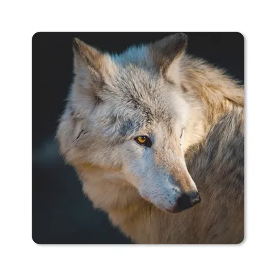 Produktbild von MuchoWow® Mauspad Mousepad Leichter Polarwolf 30x30 cm - Mousepads - Maus Mat - Pad - Mausunterlage - Gaming