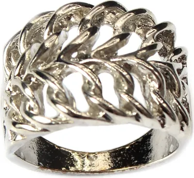 Produktbild von Edelstahl Ring Gr. 54 = 17,2 mm Silber