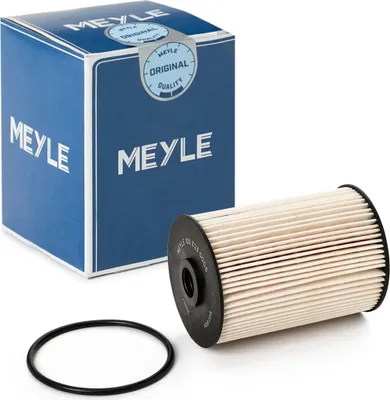 Produktbild von Kraftstofffilter MEYLE 100 323 0005 für VW GOLF VI (5K1) Filtereinsatz