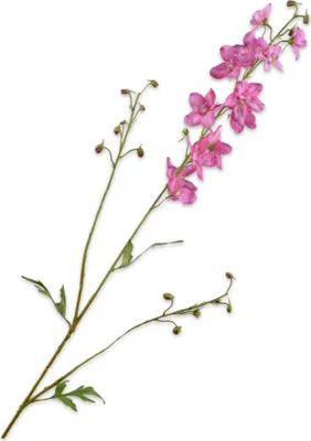 Produktbild von Silk-ka Künstliche Blumen – Seidenblumen, Delphiniumzweig, rosa, 101 cm, pro 2 Stück