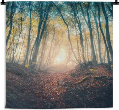 Produktbild von MuchoWow® Wandteppich Wandbehang Wald - Nebel - Sonne - Herbst 60x60 cm Tapisserie Dekoration Wandtuch - Dekorationen - Wand Decke