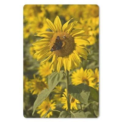 Produktbild von MuchoWow® Mauspad Mousepad Tagpfauenauge Schmetterling auf einer Sonnenblume 18x27 cm - Mousepads - Maus Mat - Pad - Mausunterlage