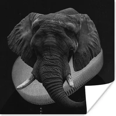 Produktbild von MuchoWow® Poster Gemälde - Elefant - Schwarz - Weiß 50x50 cm - Wohnzimmerdekoration