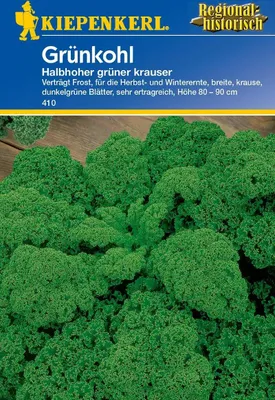 Produktbild von Kiepenkerl Grünkohlsamen Halbhoher grüner krauser