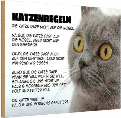 Produktbild von vianmo Holzschild 12x18 cm Katzenregeln Katze darf nicht Tier Haustier
