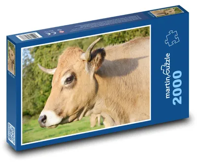 Zdjęcie produktu dla Puzzle 2000 Krowa na zielonej łące - martinpuzzle