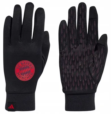 Produktbild von Adidas - Torhüter-Handschuhe für Herren PP3183 (L) (Schwarz)