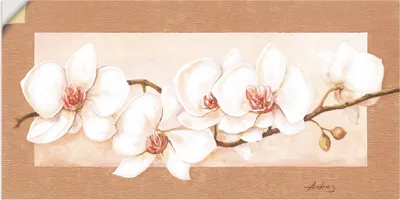 Produktbild von ARTland Wandbild, selbstklebend Orchideenzweig Größe: 60x30 cm