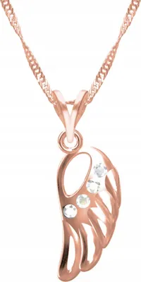 Immagine prodotto di Catena ad ala placcata oro, argento 925