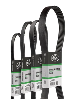 Produktbild von GATES CB0020 Keilriemen 1231mm