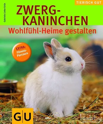 Produktbild von Zwergkaninchen