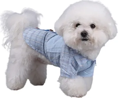 Produktbild von INF Blaues kariertes Hundehemd XXL