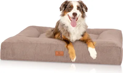 Produktbild von Knuffelwuff orthopädisches Hundebett aus Velours mit Handwebcharakter Sofia 120x100cm Beige