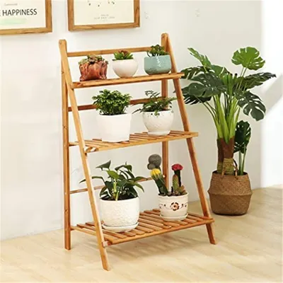 A wooden plant stand with several potted plants on it, placed against a white wall with framed pictures above.