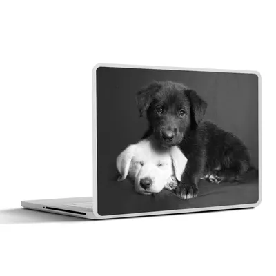 Produktbild von MuchoWow® Laptop Aufkleber Sticker Cover Hunde - Welpe - Schwarz - Weiß - Tiere 32.5x23.5 cm - Sticker für Laptop - Selbstklebend