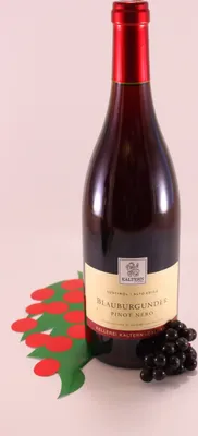 Produktbild von Südtiroler Blauburgunder - 2024 - Kellerei Kaltern