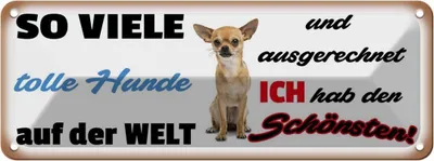 Produktbild von vianmo Blechschild 10x27 cm ich hab den schönsten Hund Tier Haustier