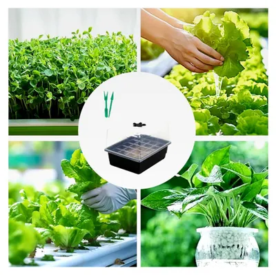 Produktbild von Sämlingsstarter, Sämlingsstifte, Wiederverwendbares Hydroponik-Anbausystem, Entwässerungsboden, Gartenbedarf für Sukkulenten und Gewächshausvermehrung