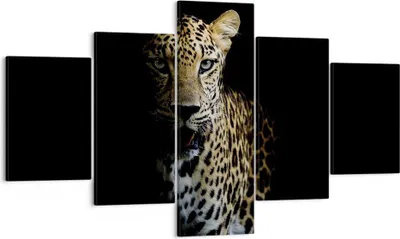 Produktbild von Bild auf Leinwand - Leinwandbild - 5 Teile - Schattig Leopard Panther - 125x70cm - Wand Bild - Wanddeko - Wandbilder - Leinwanddruck - Bilder - Wanddekoration - Leinwand bilder - EA125x70-4585
