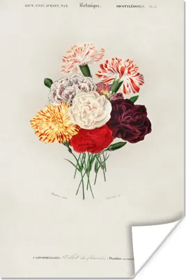 Produktbild von MuchoWow® Poster Blumen - Vintage - Blatt 40x60 cm - Plakate für die Wand - Poster Babyzimmer